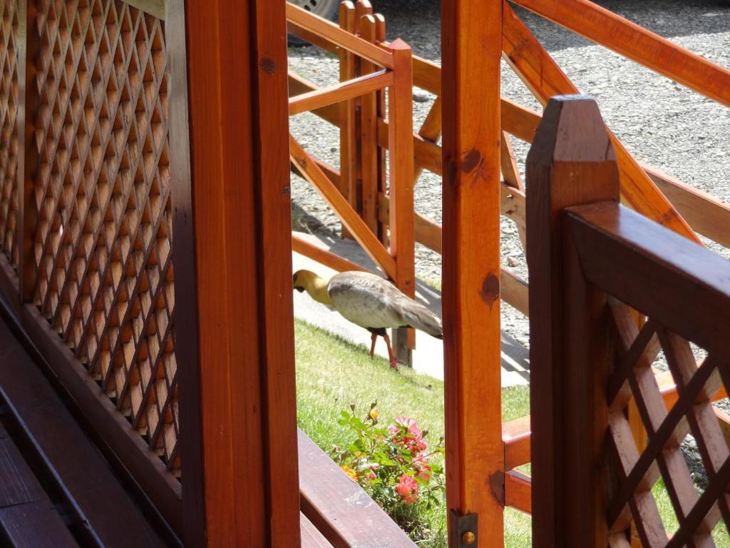 Cabanas De Nene Aparts Ел Калафате Екстериор снимка